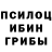 Псилоцибиновые грибы прущие грибы Ac Snake