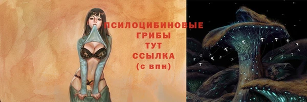 молекула духа Магадан