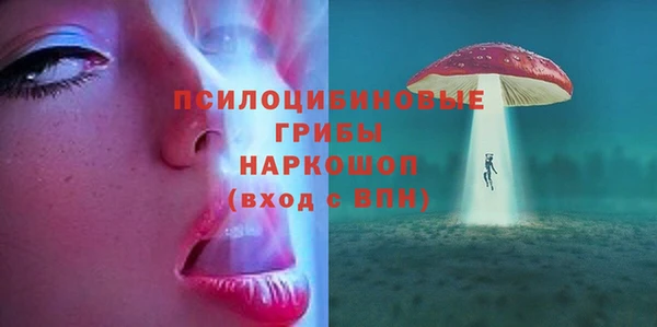 твердый Мегион
