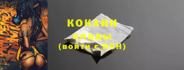 твердый Мегион