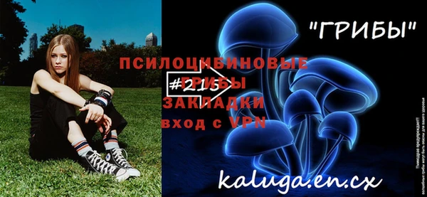 твердый Мегион