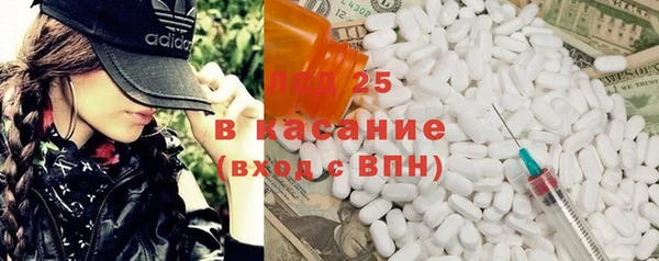 твердый Мегион