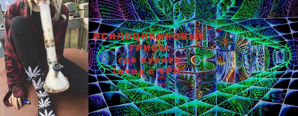 МДМА Медвежьегорск