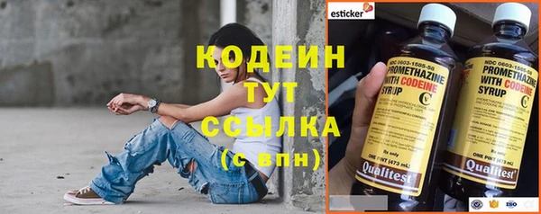 хмурый Медногорск