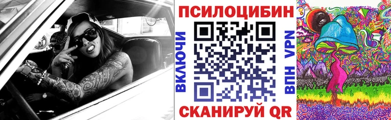 Галлюциногенные грибы Psilocybine cubensis Фрязино